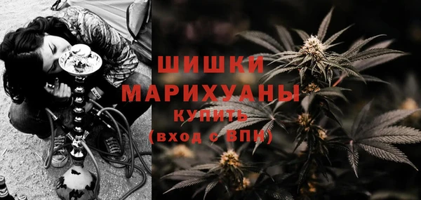дмт Богородск