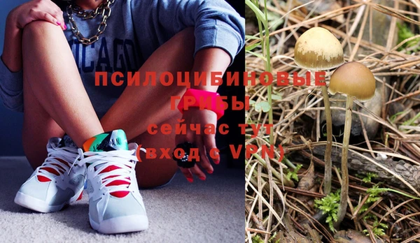 мяу мяу мука Бородино